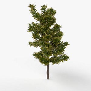 UE4 - Trees and Bushes Game Ready Fully UE4 Project