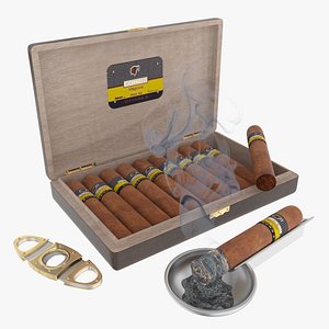cigars wood box 3d model