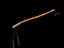 Wand