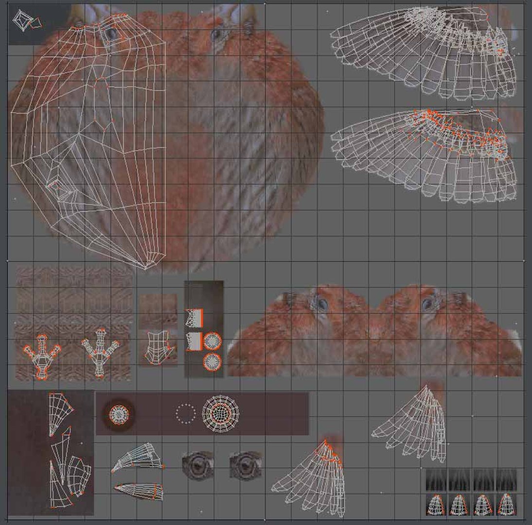 3d house finch model https://p.turbosquid.com/ts-thumb/gI/j8XoFT/y7C7lCs8/housfinchuvandmap/jpg/1416783183/1920x1080/fit_q87/e0f59c408de74ca1dc6833f459daef43cda362f6/housfinchuvandmap.jpg