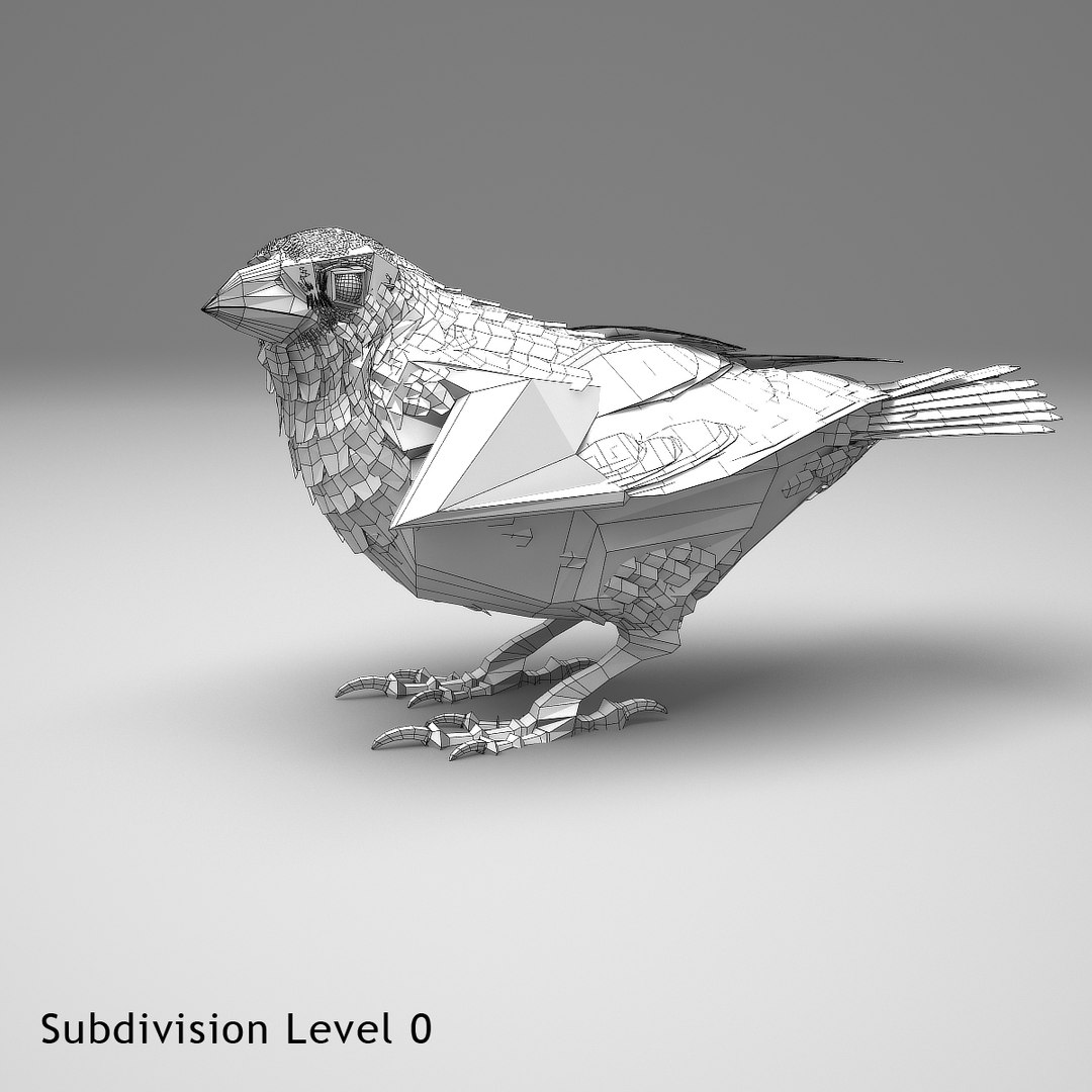 3d house finch model https://p.turbosquid.com/ts-thumb/gI/j8XoFT/zqExB31v/hfinchsingelsb14/jpg/1411503219/1920x1080/fit_q87/39e0813939647bc8023be988dc96dd3220e45e6d/hfinchsingelsb14.jpg
