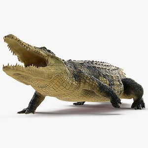 crocodile attack animal rigged 3D model