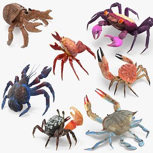 3D crabs 2 rigged model