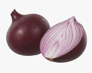 3D onion food vegetable