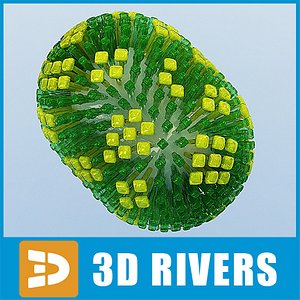 flu virus 3d model