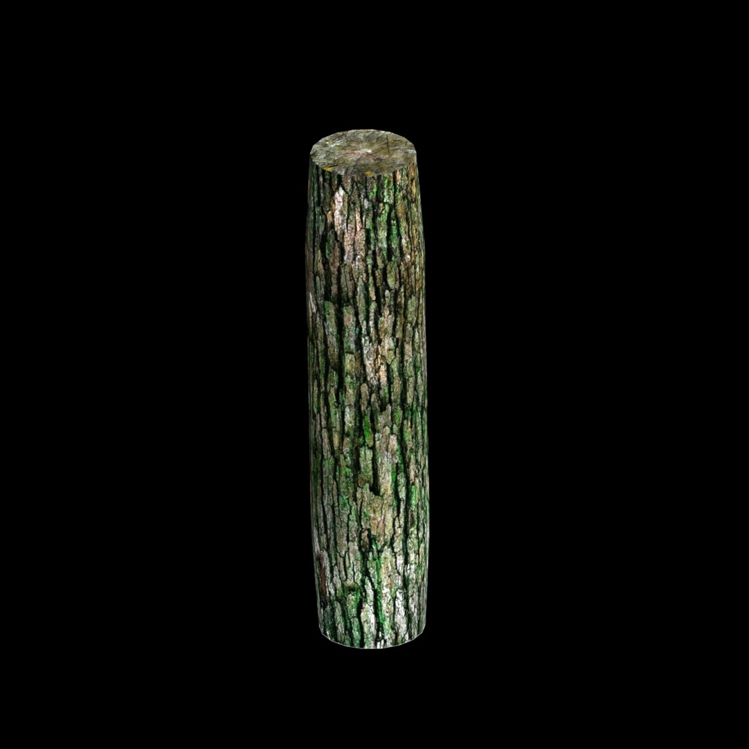 3d model log tree https://p.turbosquid.com/ts-thumb/gI/vAu6y3/POQ0RDAu/logshot5/jpg/1467318335/1920x1080/fit_q87/aea2ac3ba138b13a47d77c3a6ffccbdd4bbadfa1/logshot5.jpg
