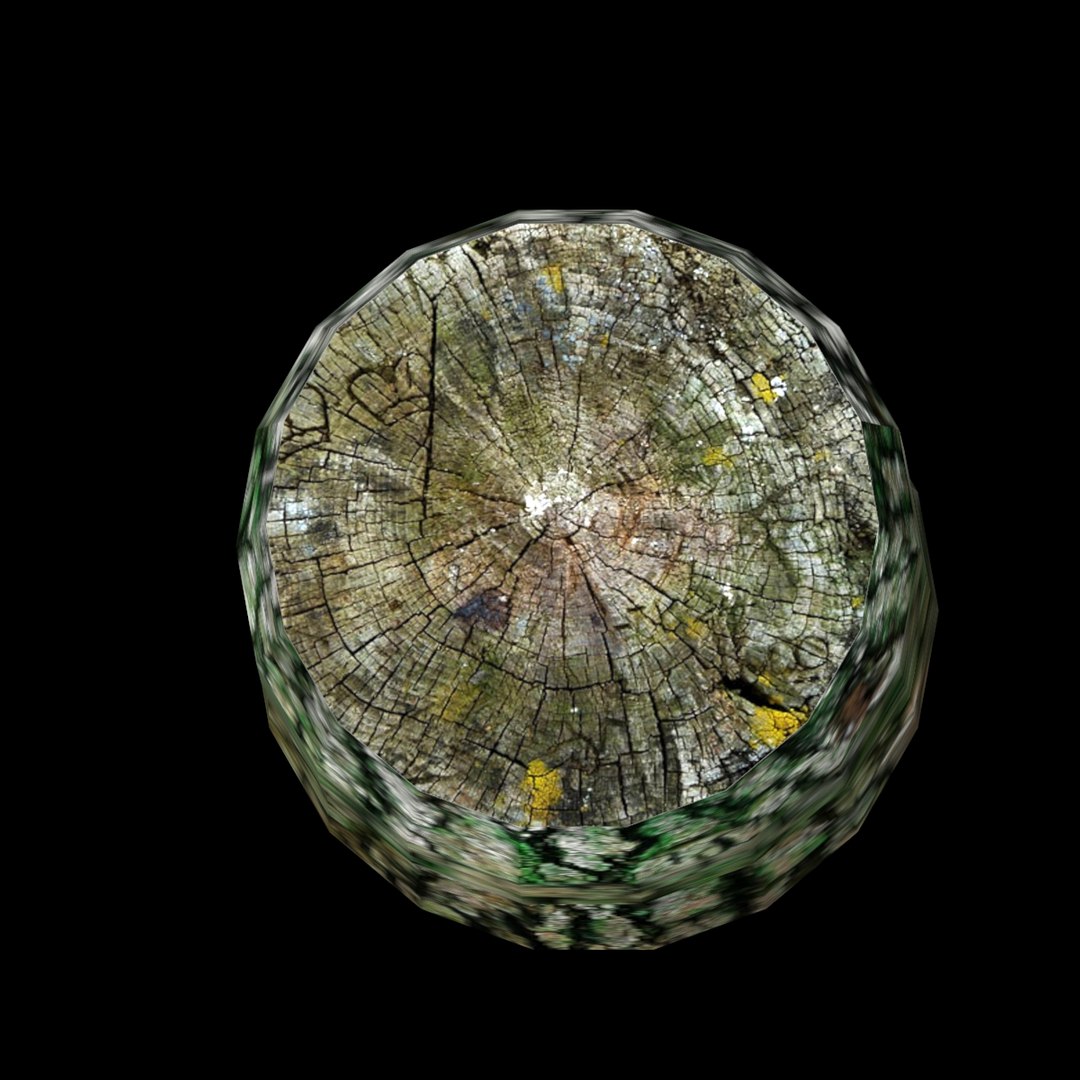 3d model log tree https://p.turbosquid.com/ts-thumb/gI/vAu6y3/f6y1IcMT/logshot2/jpg/1467318335/1920x1080/fit_q87/0f93ed9515fe8bed05c405d5909c336c165f2504/logshot2.jpg