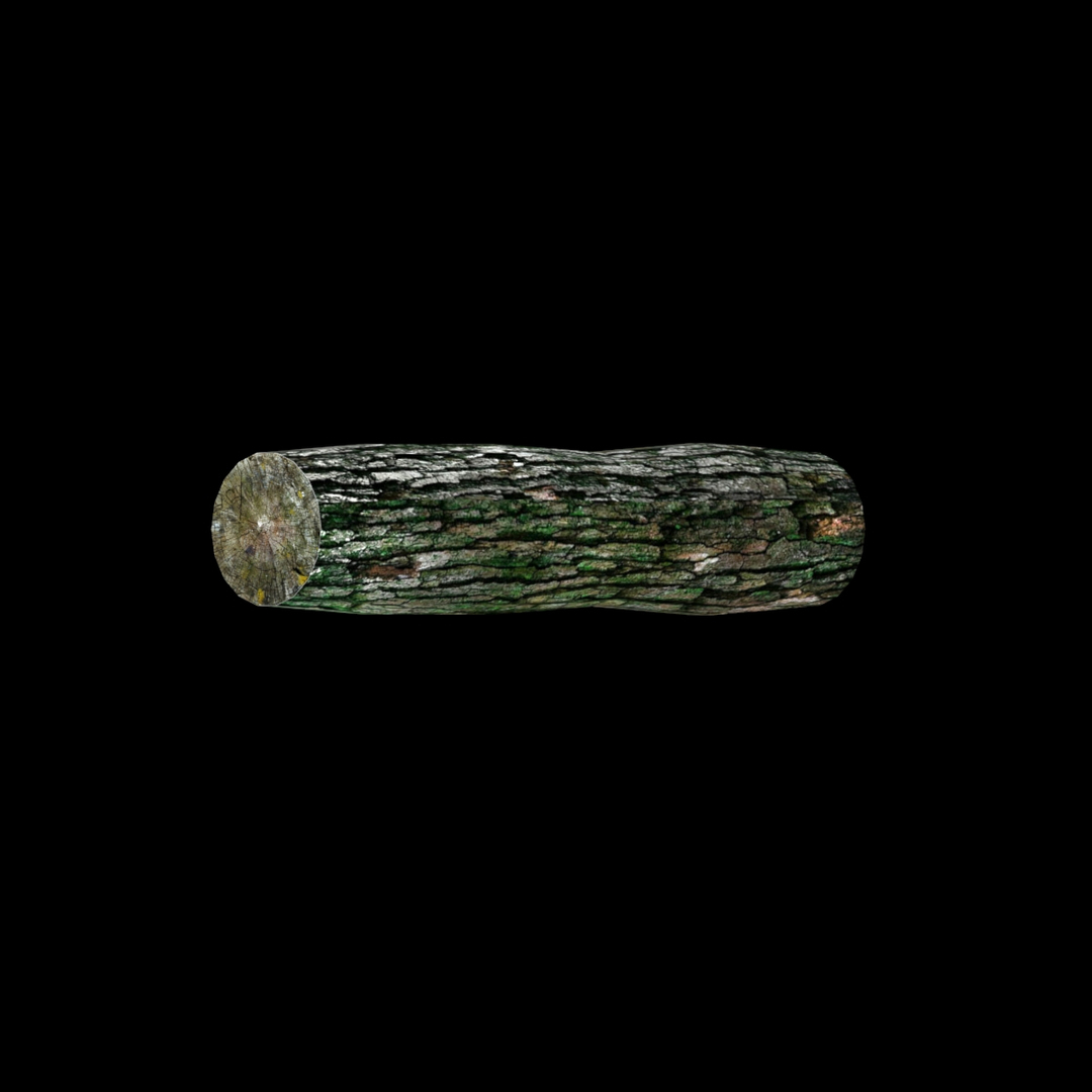3d model log tree https://p.turbosquid.com/ts-thumb/gI/vAu6y3/n1GUvL5a/image/jpg/1467318410/1920x1080/turn_fit_q99/48ffa182b3ca59c94a592ac8e8f6e8768760174a/image-1.jpg
