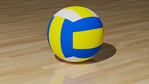 Volleyball Ball