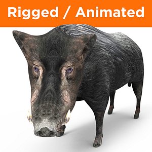 3D wild boar rigged animation