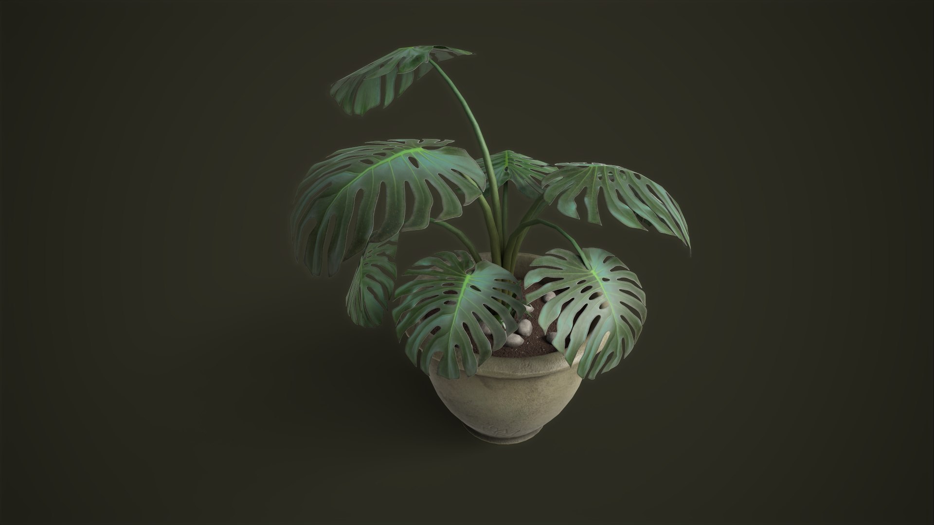 3D model Monstera in a pot https://p.turbosquid.com/ts-thumb/gI/xpeAEF/4t/tbrender_viewport_01012/png/1678959370/1920x1080/fit_q87/e473454d82a7e8b93f1209ac7ed4e4b06453069d/tbrender_viewport_01012.jpg
