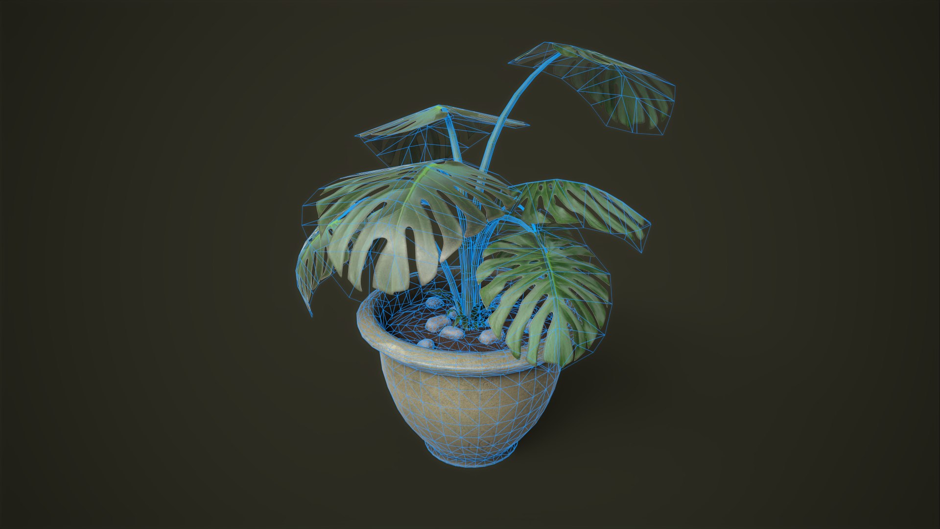 3D model Monstera in a pot https://p.turbosquid.com/ts-thumb/gI/xpeAEF/86/tbrender_viewport_014/png/1678959365/1920x1080/fit_q87/82ca924e92c9aec6fbec2e63016007fc7099973a/tbrender_viewport_014.jpg