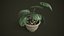 Monstera w doniczce