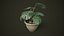 Monstera w doniczce