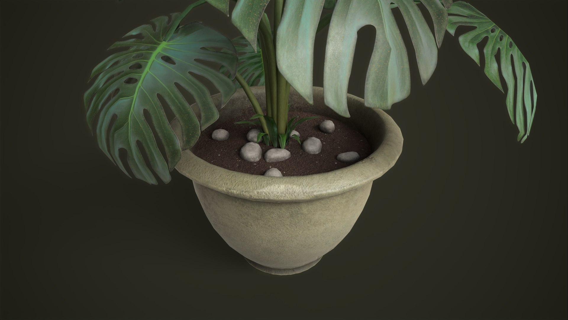 3D model Monstera in a pot https://p.turbosquid.com/ts-thumb/gI/xpeAEF/ew/tbrender_viewport_015/png/1678959366/1920x1080/fit_q87/9c628fabd8c87ed9a4609f18483dda4651886b70/tbrender_viewport_015.jpg