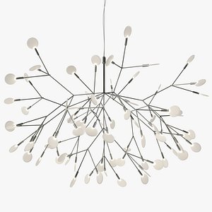 Heracleum II