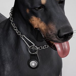 3D RATHELWOLF Dog Collar WALDO