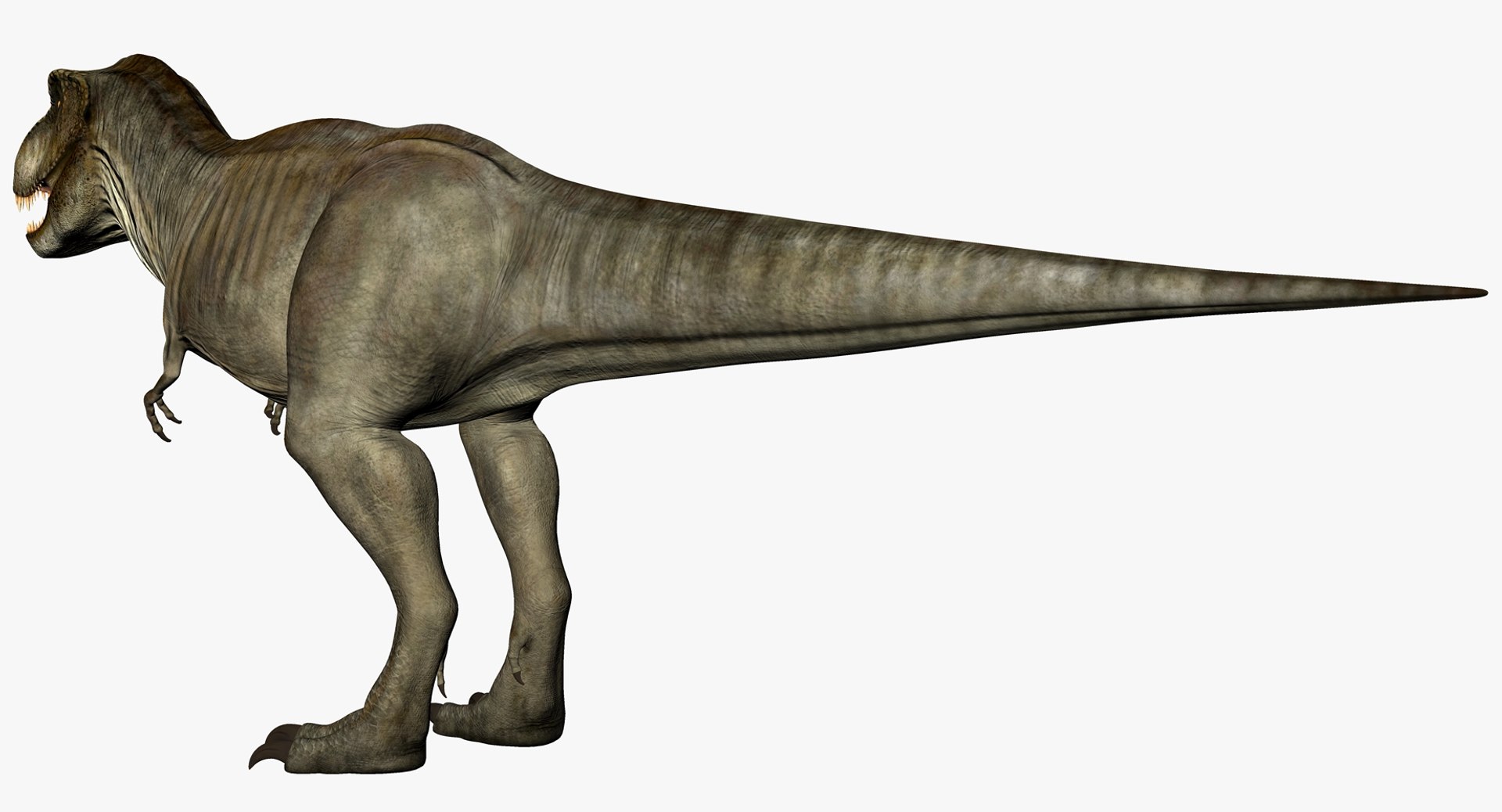 tyrannosaurus rex model https://p.turbosquid.com/ts-thumb/gJ/6pEXJ5/O3JgWINY/trex_color__15/jpg/1529049092/1920x1080/fit_q87/a05f8c48be1b7a677d1dd2e8ac11cfb08f7fd2c0/trex_color__15.jpg