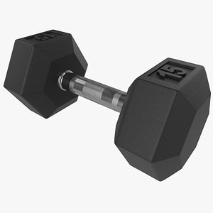 Body Building Hex Dumbbell 3D model