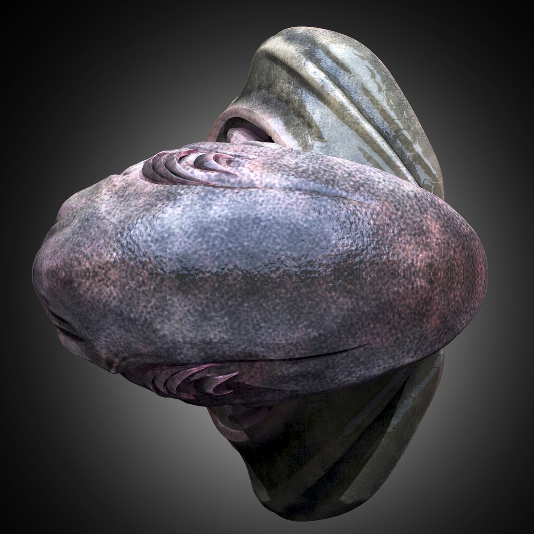 Xenovoid Sentinel 3D - TurboSquid 2266525
