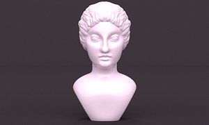 3D statue female head