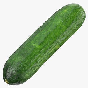 Short Persian Cucumber 01