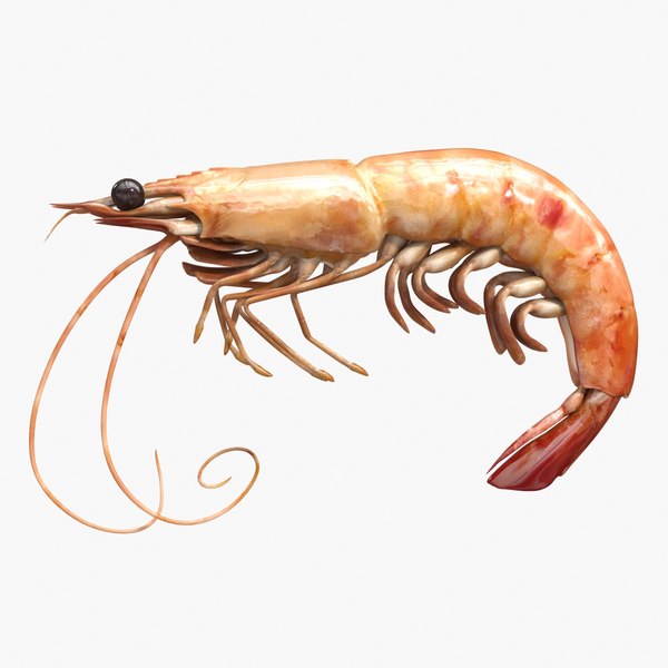 Shrimp 3ds