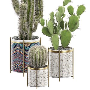 3D model potted plants set 18