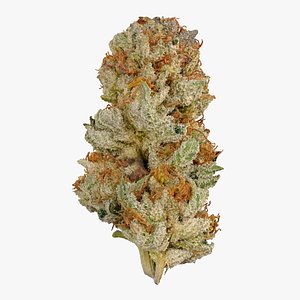 3D model Strawnana Cannabis Bud
