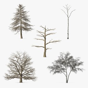 Winter Trees Collection 6