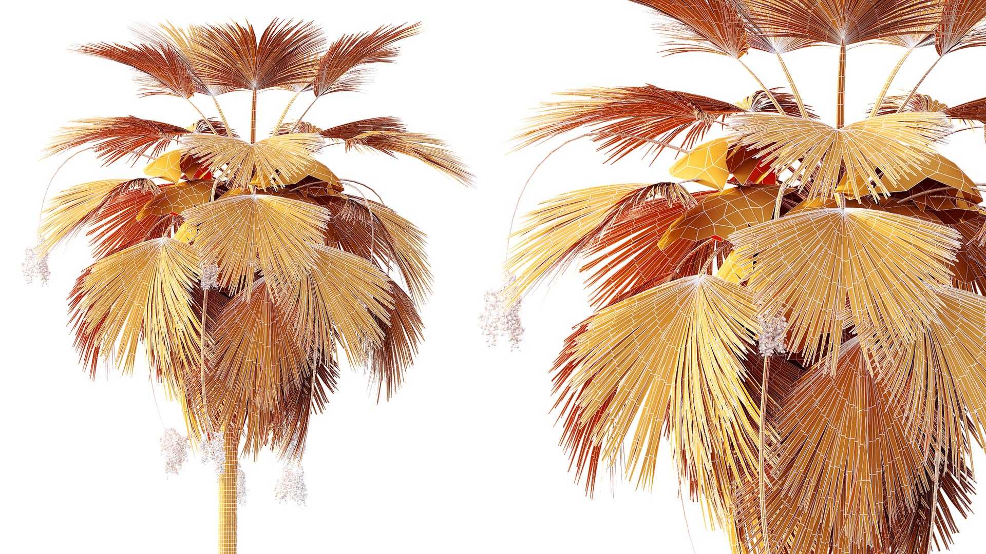 3D AV Plant Pritchardia Pacifica Palm Tree 03 model https://p.turbosquid.com/ts-thumb/gJ/p7BhSe/Gf/07/png/1787648261/1920x1080/fit_q87/52335d825e96a1195e343922b1d81caf7878f4f0/07.jpg
