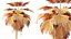 AV Plant Pritchardia Pacifica Palm Tree 03