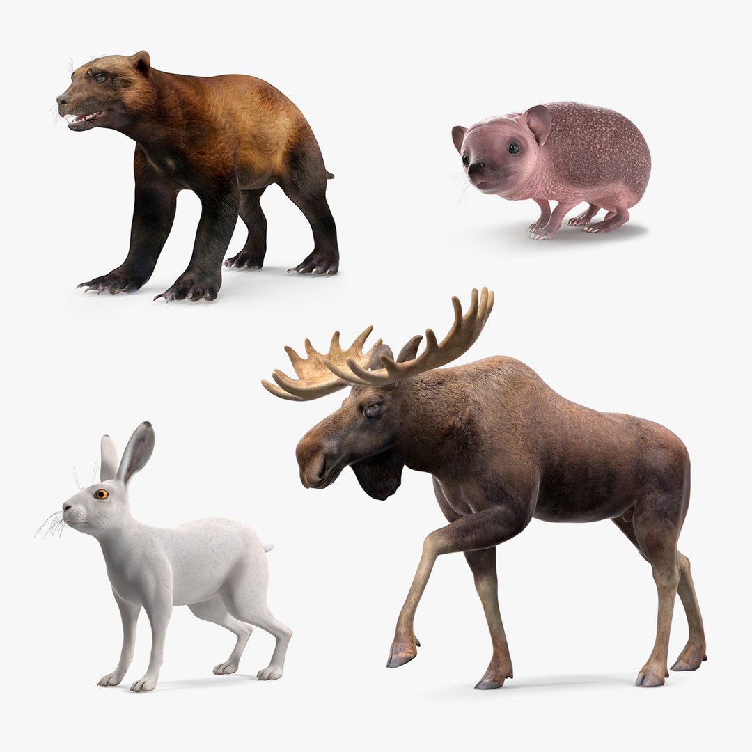 Land Mammals Collection 2 3D model preview