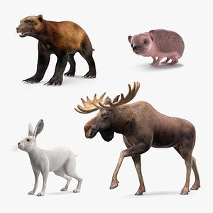 Land Mammals Collection 2 3D model
