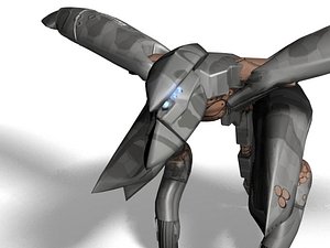 RAY