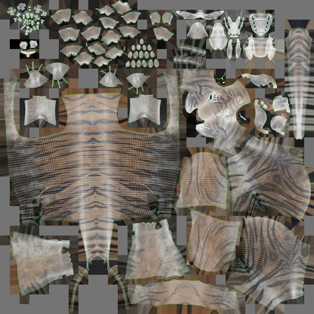 Tiger 3D model https://p.turbosquid.com/ts-thumb/gK/2Lnp1k/fT/uvs/jpg/1705510725/1920x1080/fit_q87/02eb1c5237fb3074b072a9b9c5a2c5ec98fe749e/uvs.jpg