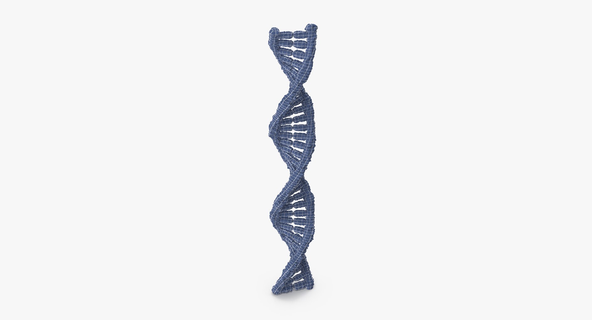 3d model dna https://p.turbosquid.com/ts-thumb/gK/GG7GxQ/BuaDAKBC/dna_002_wireframe_0005/jpg/1456734107/1920x1080/fit_q87/ce1bdebc0a14a877c06a26c6d871b25f48ff2487/dna_002_wireframe_0005.jpg