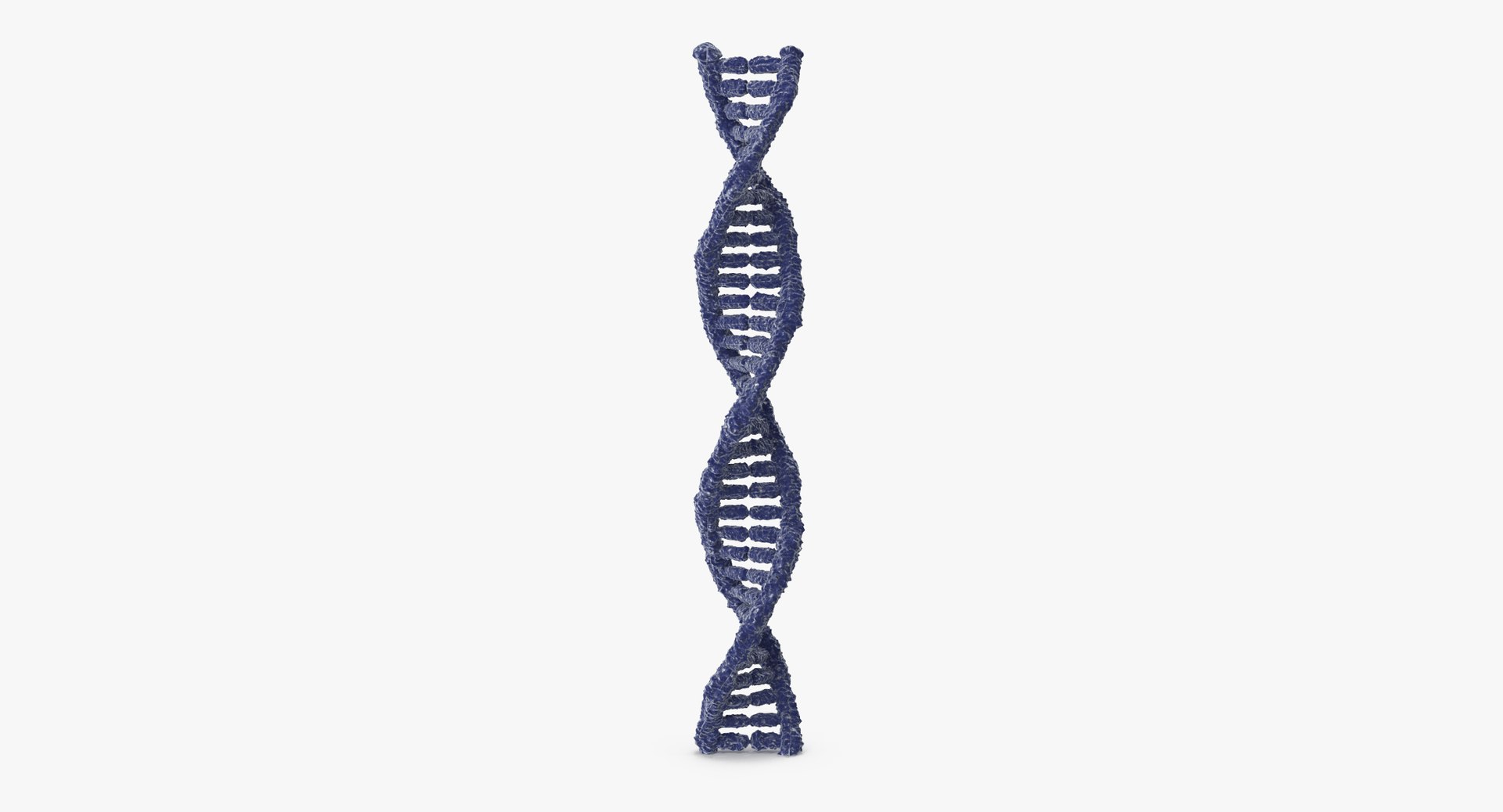 3d model dna https://p.turbosquid.com/ts-thumb/gK/GG7GxQ/bFSuSmND/dna_002_thumbnail_0001/jpg/1456734106/1920x1080/fit_q87/504602713f06358c8a2e700f6efbf9f8cb390701/dna_002_thumbnail_0001.jpg
