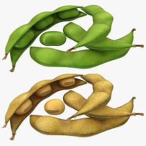 realistic edamame set 3D model