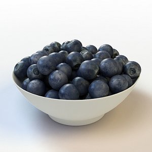 fruit blueberry 3d max