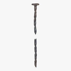 Spiral Shank Nails Old 3D model