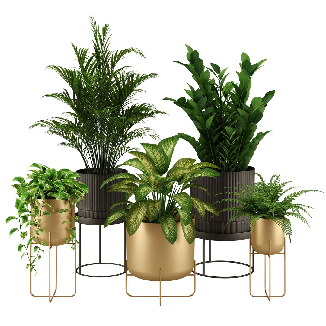 3D Indoor Plant Set 002 Model - TurboSquid 2172332