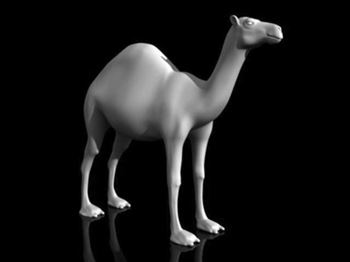 3d max dromedary https://p.turbosquid.com/ts-thumb/gK/ot2Dw6/VFxeDM1K/3/jpg/1169388761/1920x1080/fit_q87/5208af7082f796b3d362dec7309b9e81b0eadd11/3.jpg