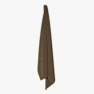 hanging bathroom towel brown 3d max