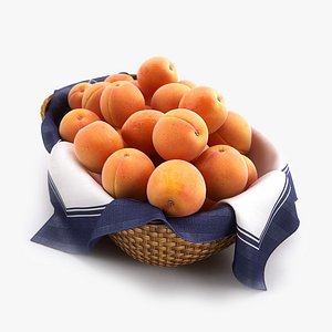 basket apricots hq 3d max