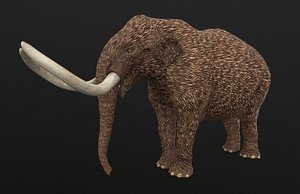 3D mammut