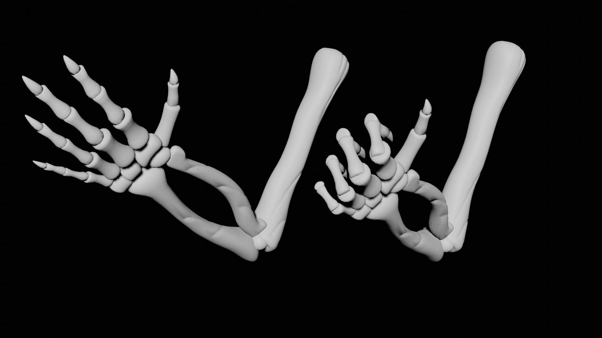 Rigged Skeletal Palm 3d Model Turbosquid 1957075