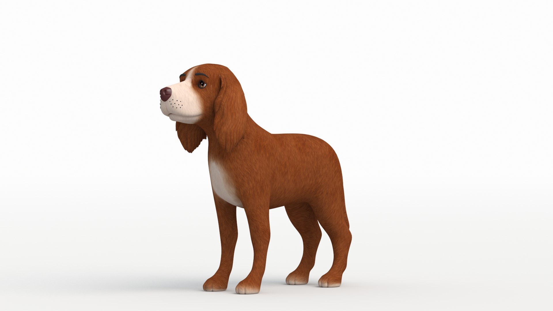 Cocker 3D Model - TurboSquid 1868022