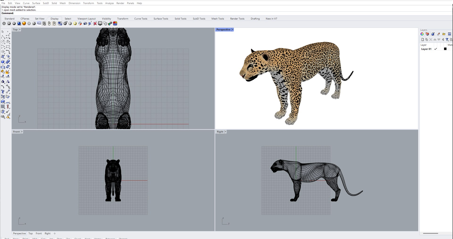 LeopardUnityPackage 3D model https://p.turbosquid.com/ts-thumb/gL/4Sf20C/Jg/leopard_screenshot_rhino/jpg/1723617097/1920x1080/fit_q87/4b3ed1f173c5462808eca5252d5176c20be500b4/leopard_screenshot_rhino.jpg