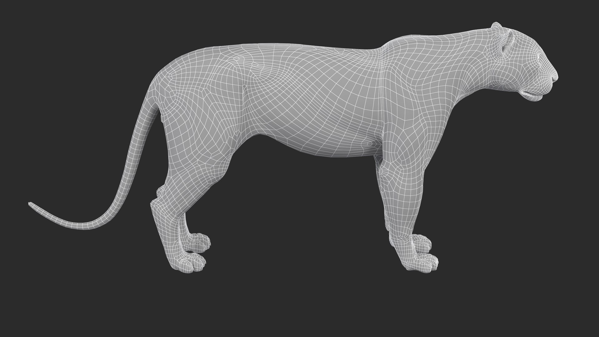 LeopardUnityPackage 3D model https://p.turbosquid.com/ts-thumb/gL/4Sf20C/Pu/leopard_image5wire/jpg/1723617094/1920x1080/fit_q87/1eb974e4d0e99866bba4de7c34012f1616fe33f8/leopard_image5wire.jpg